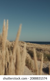 View From Dune Over The Sea At Grenen Skagen