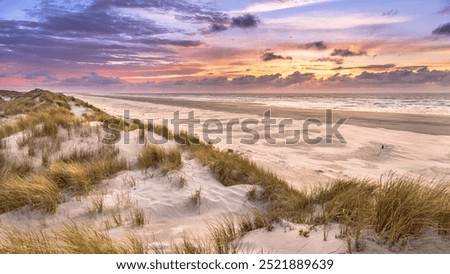 Similar – Image, Stock Photo Ameland | Beach, sea and clouds in soft light