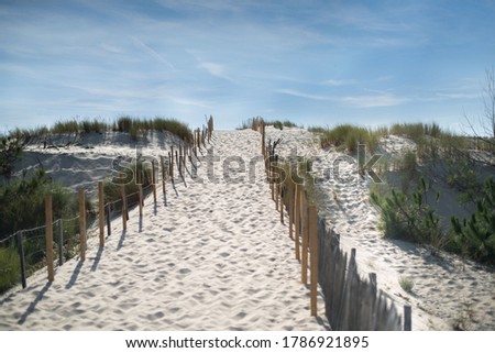 View of the dunes and the road to the beach. White sand under the blue sky. Hot summer day.