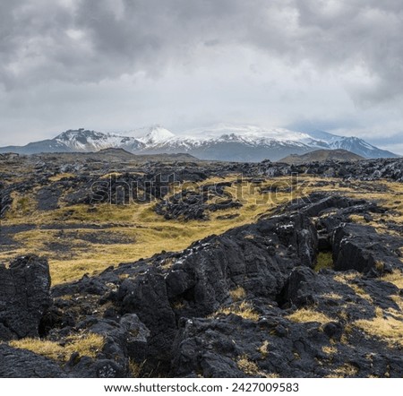 View during auto trip in West Iceland, Snaefellsnes peninsula, View Point near Svortuloft Lighthouse. Spectacular black volcanic rocks and snowy Snaefellsjokull Volcano in far.