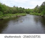 View of the East Fork Black River State Natural Area near Hatfield, Wisconsin