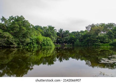 The View Of Eco Lake In Botanic Gardens Singapore. It Has Been Ranked Asia's Top Park Attraction Since 2013, To Be Honoured As A UNESCO World Heritage Site.