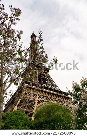 View of the Effiel Tower from below surrounded by flowering trees in springtime in Paris, France.