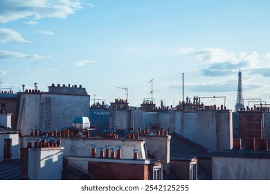 View of the Eiffel Tower from the rooftops