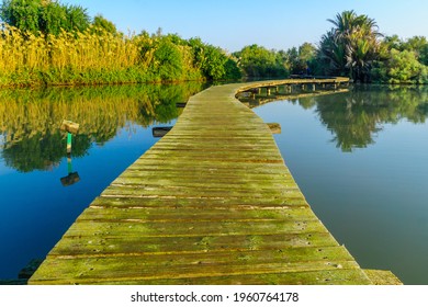 View Of An Elevated Pathway Over A Pond, In En Afek Nature Reserve, Northern Israel