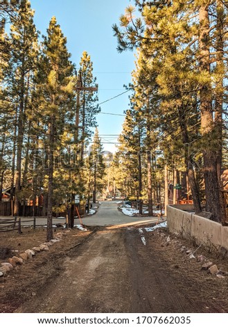 View of empty dirt road and pine trees surrounded by rustic cabins in the mountains after snow in California during winter sunset 