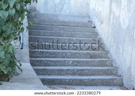 View of empty old stairs near green plants outdoors
