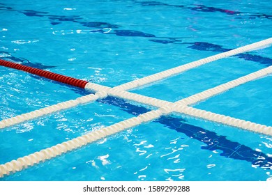 The View Of An Empty Public Swimming Pool Indoors. Lanes Of A Competition Swimming Pool