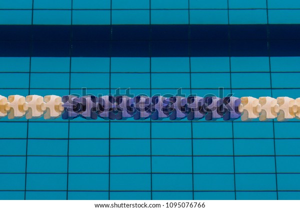 The view of\
an empty public swimming pool indoors. Lanes of a competition\
swimming pool. Shot from the\
top