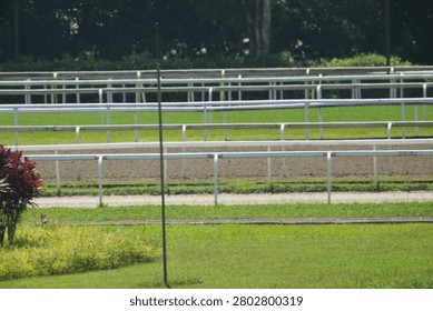 A view of an empty race track featuring numerous white railings separating the dirt path from vibrant green grass fields. A prominent bush with striking dark red leaves, likely a Cordyline fruticosa, adds a splash of color in the foreground. The scene suggests a quiet training ground.
