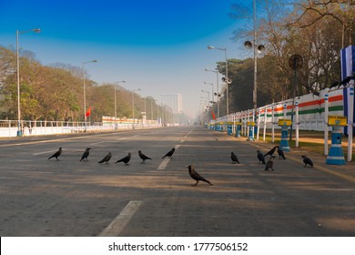 View Of Empty Red Road In The Morning With Blue Sky Above. The Crows Have Gathered Together Due To No Traffic On The Busy Road. Shot At Kolkata, West Bengal, India.