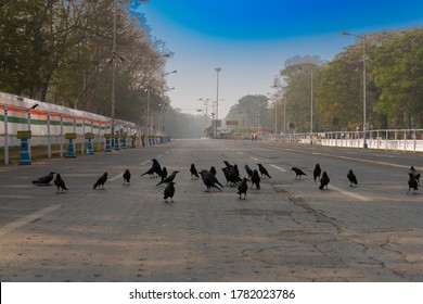 View Of Empty Red Road In The Morning With Blue Sky Above. The Crows Have Gathered Together Due To No Traffic On The Busy Road. Shot At Kolkata, West Bengal, India.