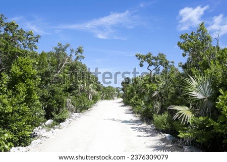 The view of an empty road, the only one on Little Stirrup Cay tourist island (Bahamas).