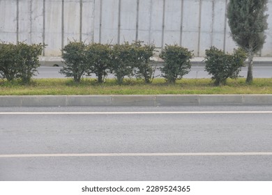 view of the empty road scene, highway in the city, trees and bushes, curb stone and white road markings, minimalism in the city