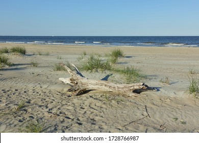 View Of An Empty Sandy Beach In Tybee Island, Near Savannah, Georgia, United States