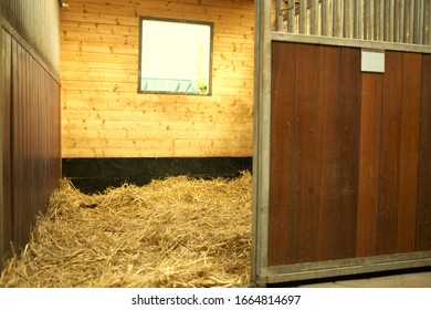 View Of An Empty Stable