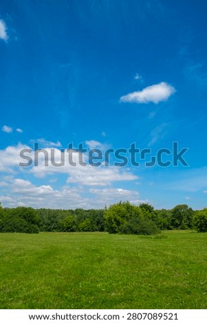 A view of an empty sunny meadow. A summer panorama of a forest with trees and a field.