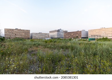 View Of An Empty Lot With Tall Green Grass In An Industrial Area In Summer