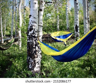 A view of empty yellow and blue hammocks hanging from trees in the woods blown by the wind