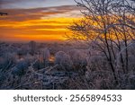 view from enns in upper austria to the village of ennsdorf, lower austria in the morning light