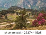 View enroute to Tungnath-Chandrashila hiking trail during spring season in Chopta, Uttarakhand, India.