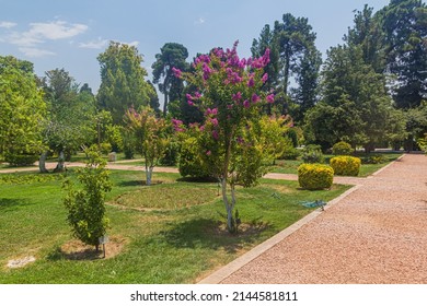 View Of Eram Garden In Shiraz, Iran.