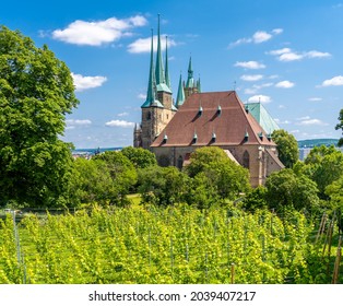 View of the Erfurt Cathedral and Severikirche (St Severus's Church) from the Petersberg Citadel, Erfurt, the capital and largest city in Thuringia, central Germany.