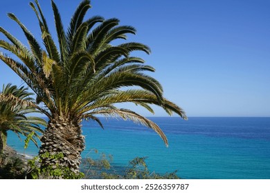 View of Esquinzo Beach, Playa de Esquinzo, on the Atlantic Ocean coast in October. Esquinzo, Fuerteventura, Las Palmas, Canary Islands, Spain. - Powered by Shutterstock