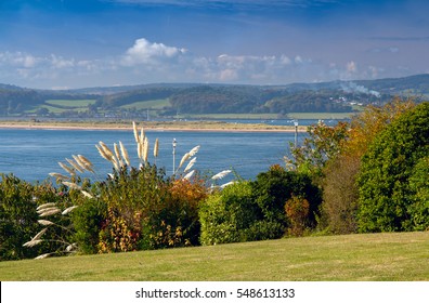 View of the estuary Exe River. Shrub the Pampas in the foreground. Green lawn. Exmouth. Devon. UK
