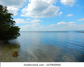 View From Estuary To Tampa Bay