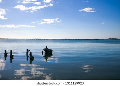 View Of The Etang De Thau (Thau Lagoon) From Bouzigues In Languedoc Roussillon, France