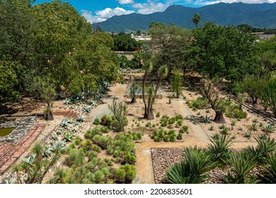 View of the Ethnobotanical Garden, in Oaxaca, Mexico