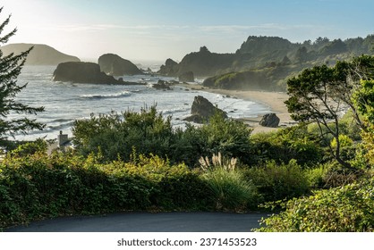 A view in the evening of Harris State Park in Brookings, Oregon.