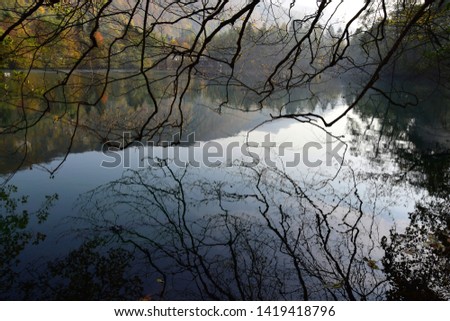 Similar – Foto Bild Am See Umwelt Natur