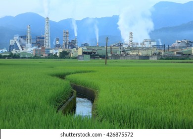 View Of A Factory In The Middle Of Green Rice Paddy Fields In The Early Morning ~ Factory Pipes Polluting Air On A Silent Morning, A Serious Environmental Issue