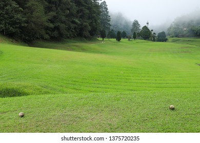 View Of The Fairway From The Tee Box