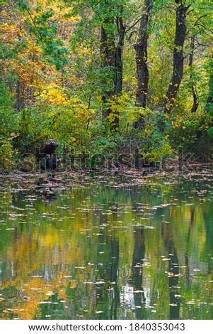 View of fall leaves reflecting in the water of the Delaware-Raritan canal in Princeton, New Jersey