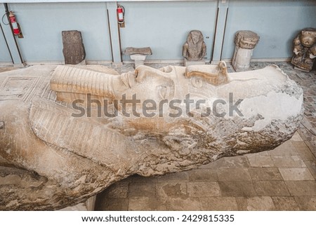 View of the fallen colossal limestone statue of Ramses II in the Mit Rahina Museum