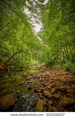 View of Falls Creek at Falls Creek Falls State Park in Tennessee.