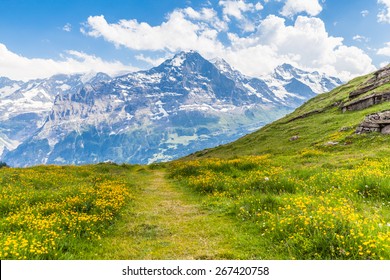 View of the famous Eiger north face on the hiking path, on the bernese oberland in Switzerland