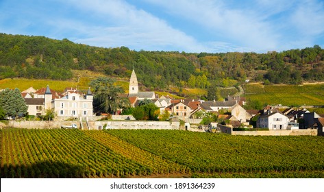 View of famous vineyards near Saint-Aubin village in France