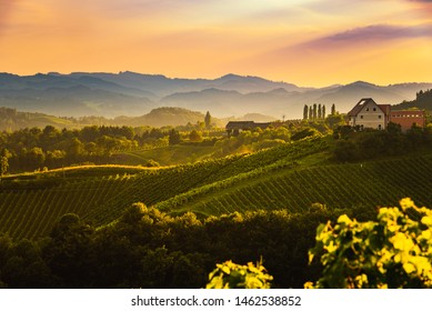 View from famous wine street in south styria, Austria on tuscany like vineyard hills. Tourist destination