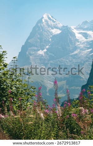 A view of faraway mountainside