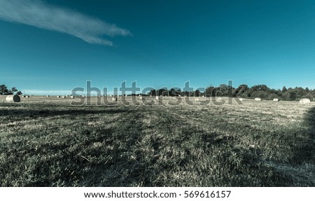 Similar – Stadtsteppe Erholung ruhig