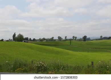 View Of The Farm With Gentle Rolling Landscape At Te Puke.