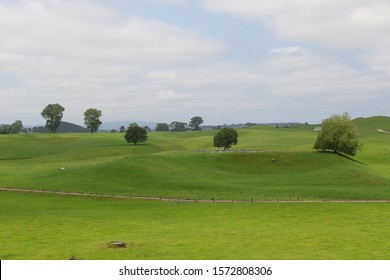 View Of The Farm With Gentle Rolling Landscape At Te Puke.