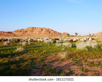 The View In A Farm Of North Saudi Arabia