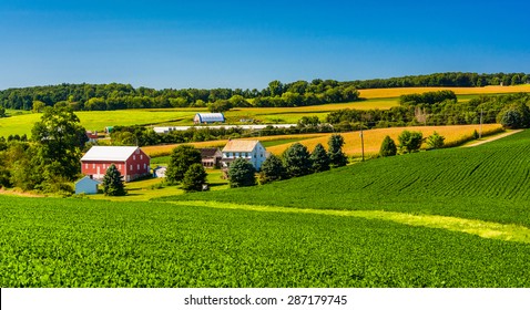 View Of A Farm In Rural York County, Pennsylvania.