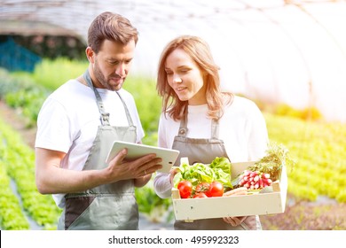 View of a Farmers working on a tablet after collecting vegetables - Powered by Shutterstock