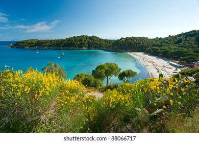 View Of Fetovaia Beach, Elba Island. Italy.